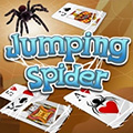 Jumping Spider